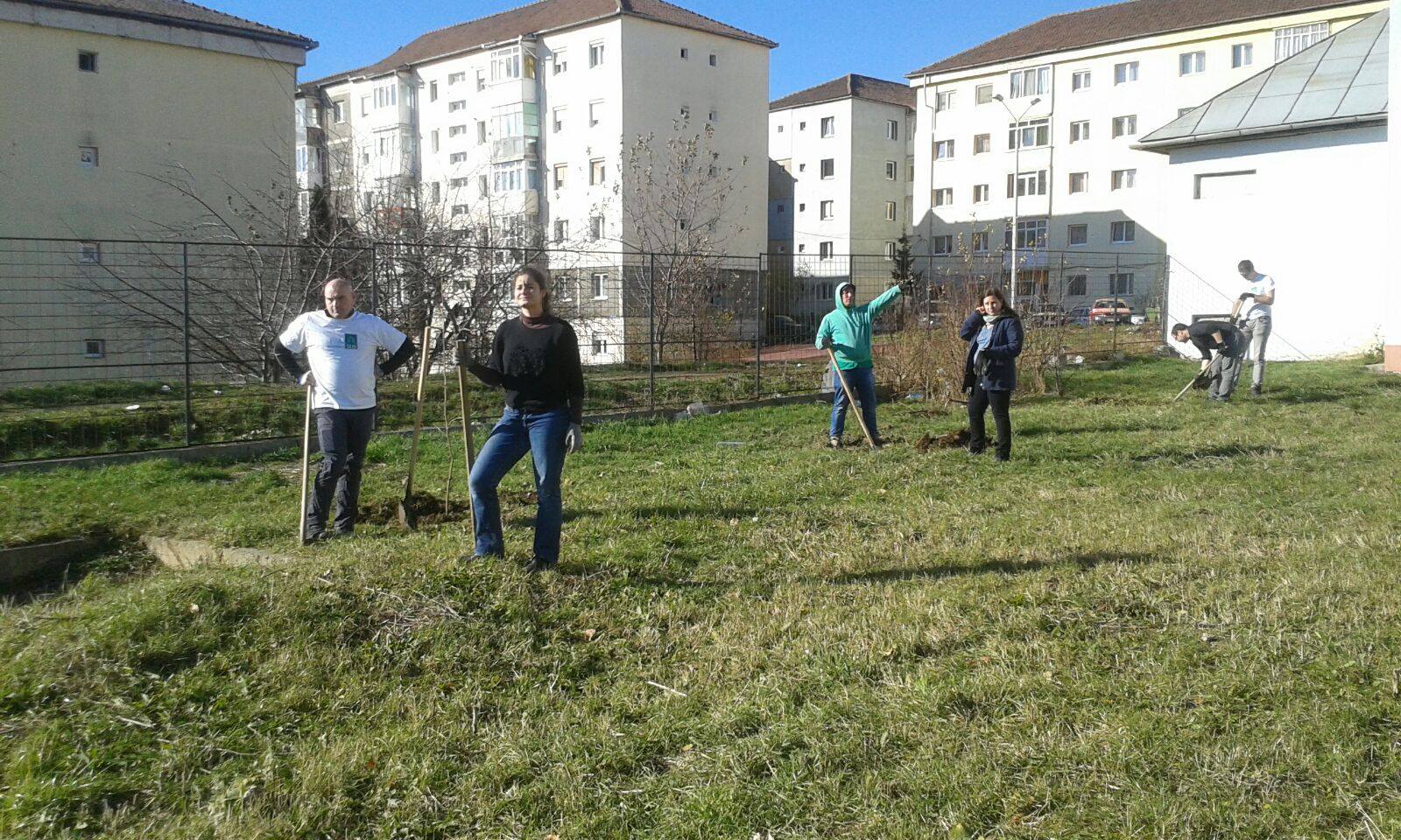 Gradinite Sibiu Preview 2